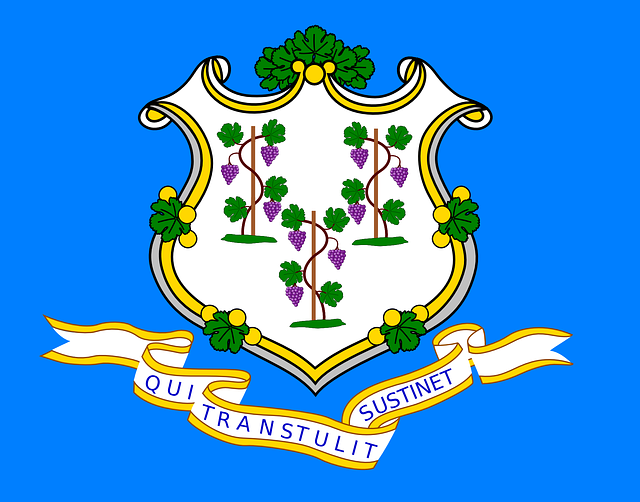A picture of the Connecticut state flag.
